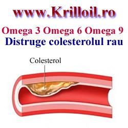 va recomand cu caldura omega produs obtinut dintr-o combinatie de acizi grasi omega 3 epa si dha din